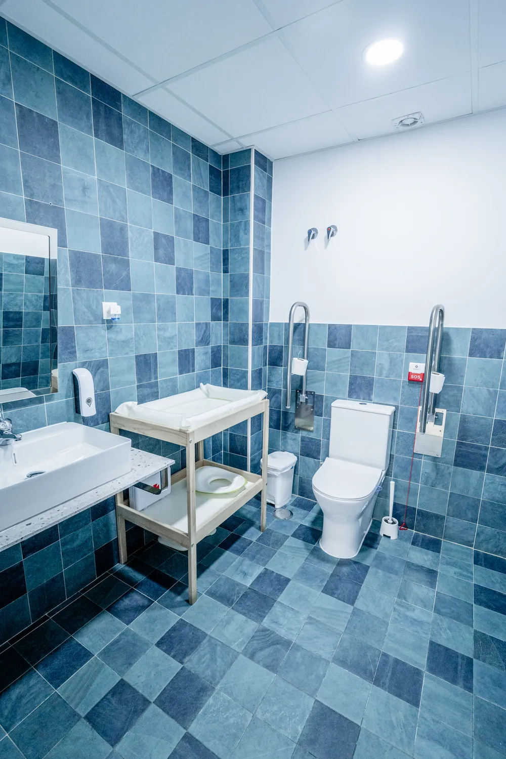 Baño adaptado con cambiador